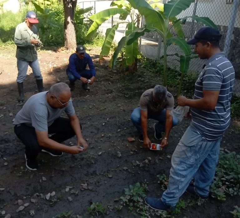 #Aragua | Inces impulsa el cultivo de hortalizas para el desarrollo comunitario.

La Formación está dirigida al personal del CFS El Limón y a la comunidad local acortar.link/XAksAY

#LaTécnicaQueInspira