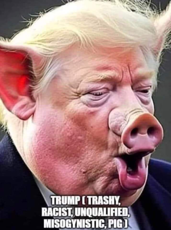 JoeAmtrak's tweet photo. @Bubblebathgirl @robreiner A Constitutional Republic IS a system of Democracy, one of about 20 types. How come Paul A. Scapula doesn't know this? https://t.co/GP0F8dZ4i0