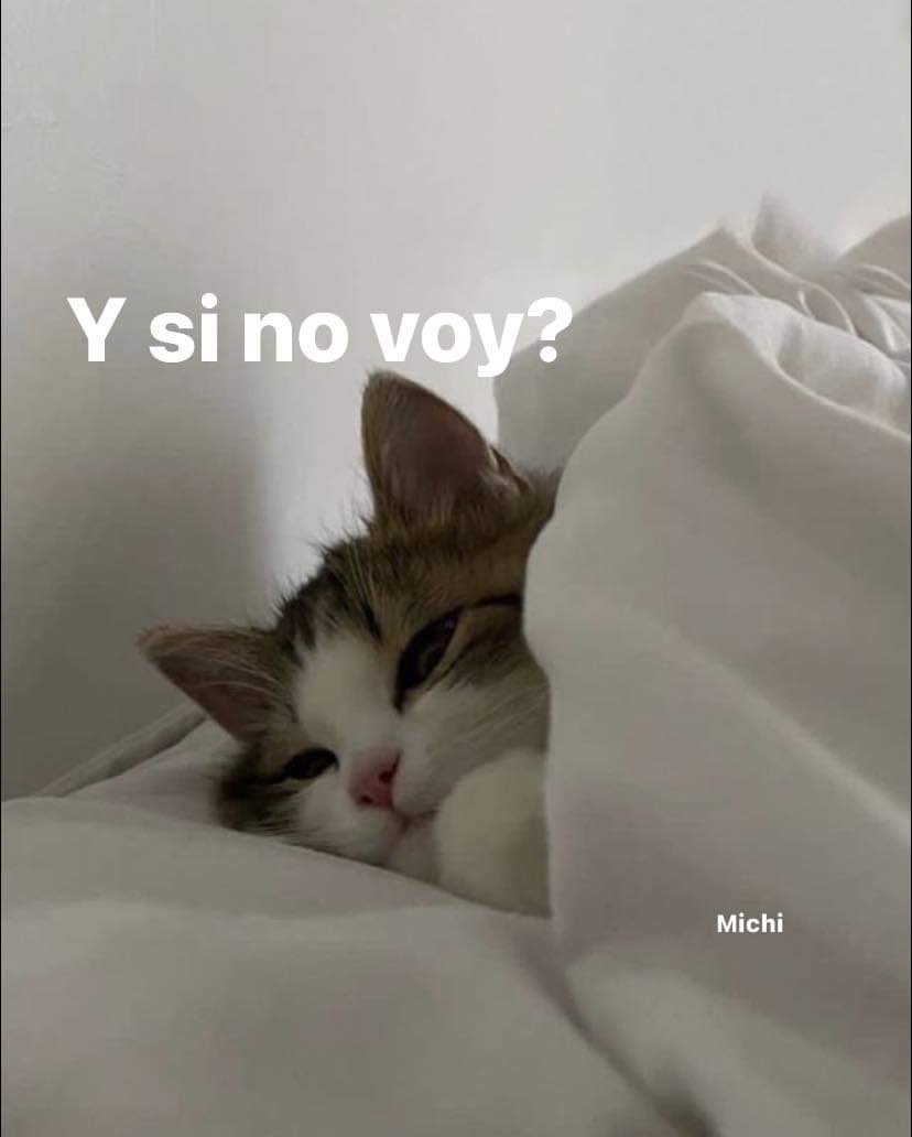 CArAmmEl_CrEAmm's tweet image. Buenos fríos y húmedos días mis queridos @ruleiro y @eltalcha 
#PoderosoGoteo