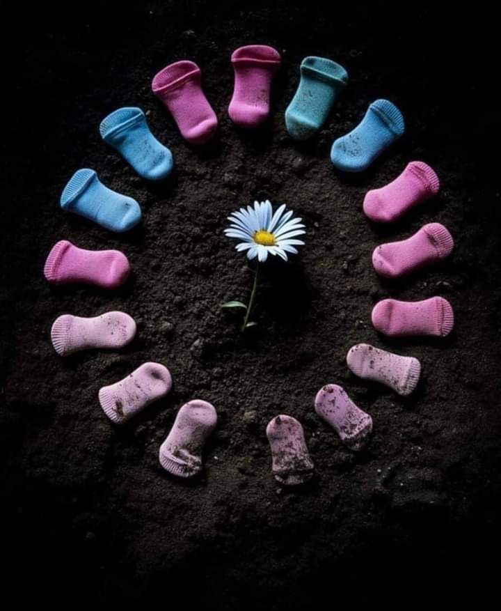 Gelgelelim,
Beter, bize kısmetmiş.
Ölüm, böyle altı okka koymaz adama,
Susmak ve beklemek...
.
#cocuklarımızkatlediliyor