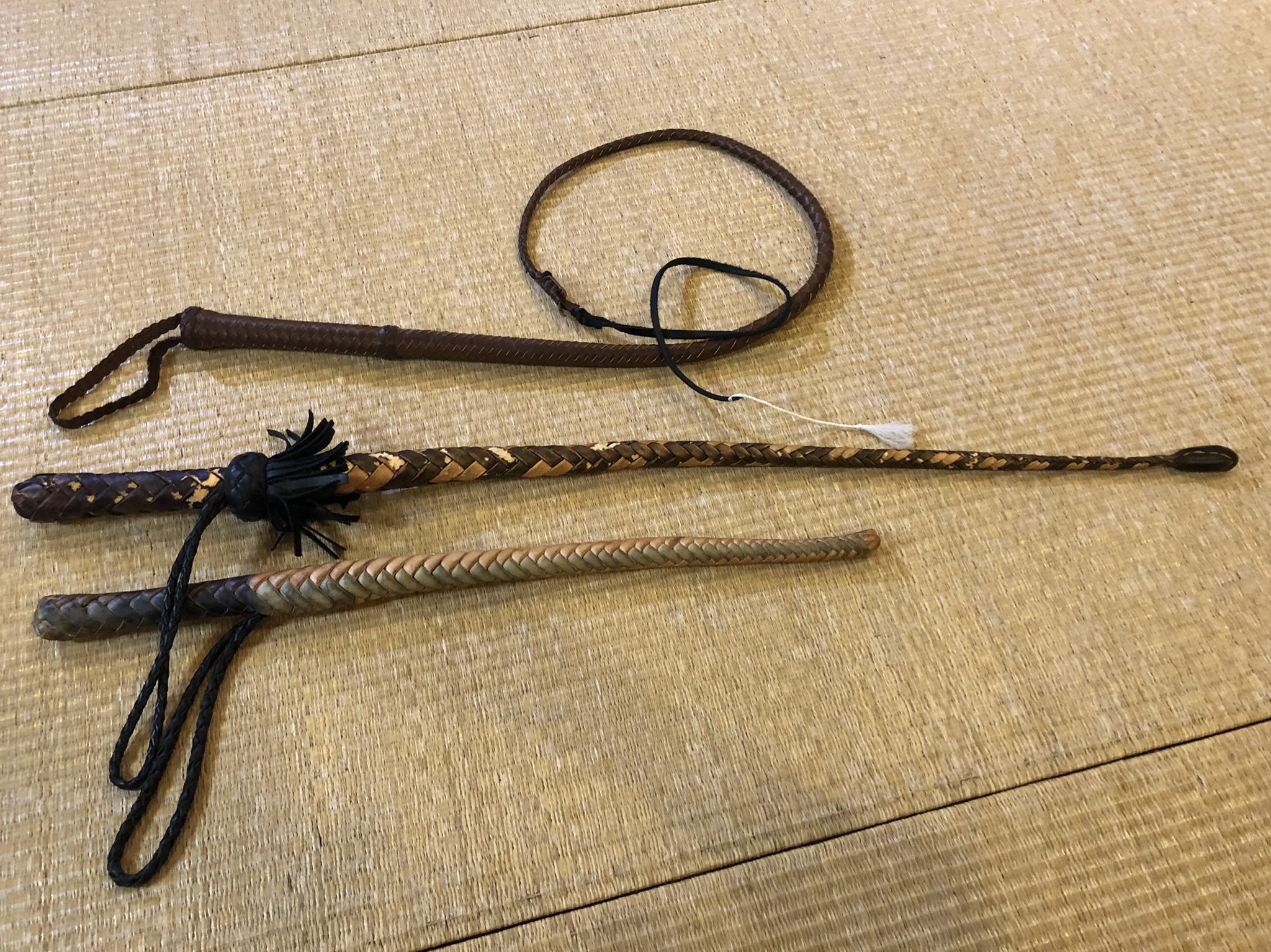システマ。鞭。ヴォルチャッカ。格闘技。武術。 システマ多摩／民俗武術研究稽古会 on X: 