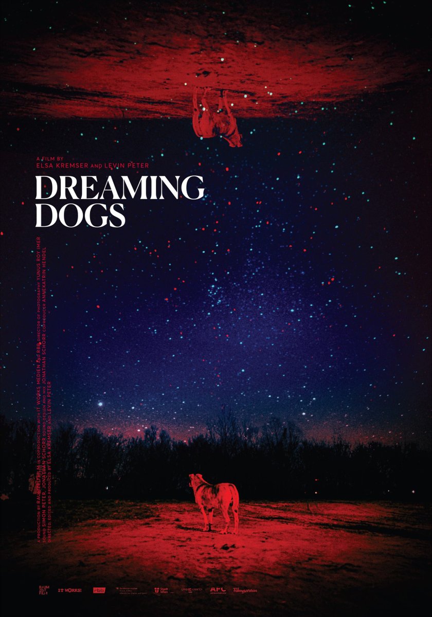 firstshowing's tweet photo. Absolutely stunning poster for this doggie doc 🐕🐕 https://t.co/JruIJm7SnI #DreamingDogs #documentary https://t.co/7K8Ebght9Z