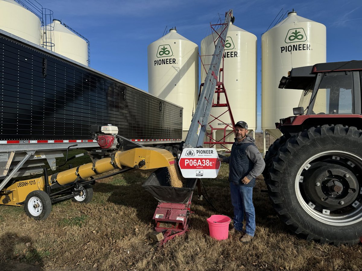 TruaxRon's tweet photo. Filling 2 bins of ⁦@PioneerSeeds⁩ P06A38E this beautiful morning. This is the #1 performing bean variety in Barnes county and surrounding area. https://t.co/XgDSmHWh5K