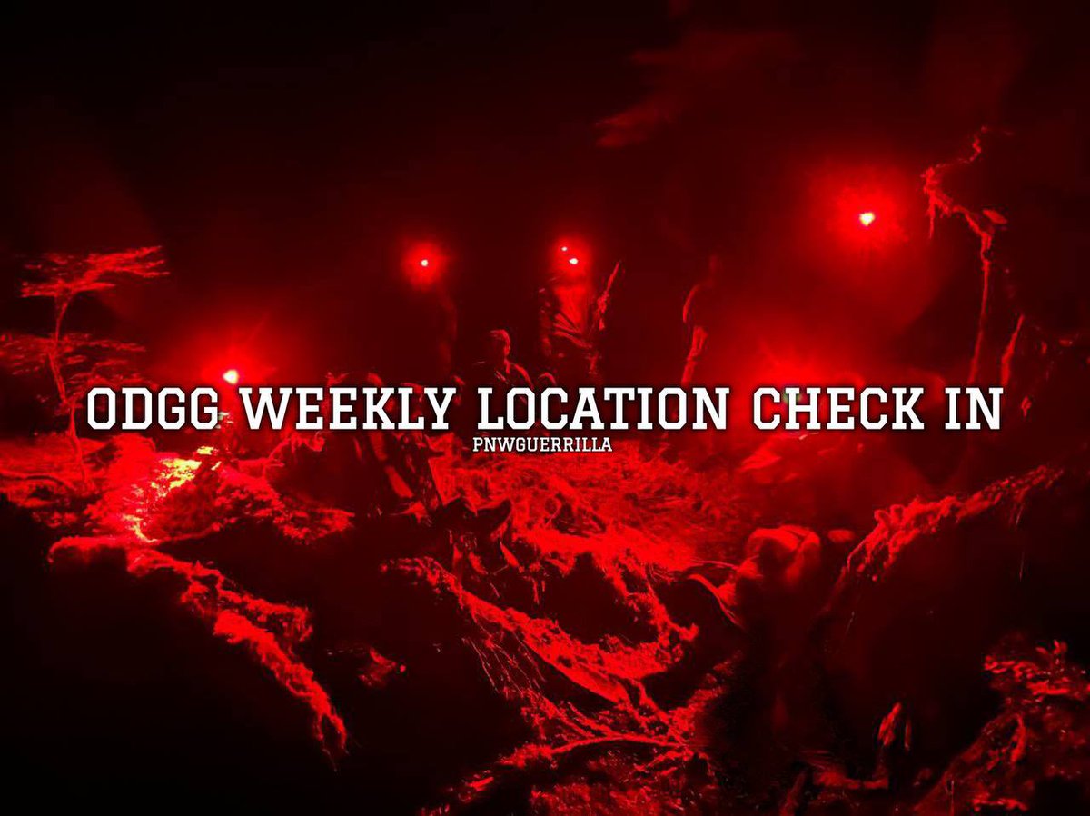 PNWGUERRILLA tweet media