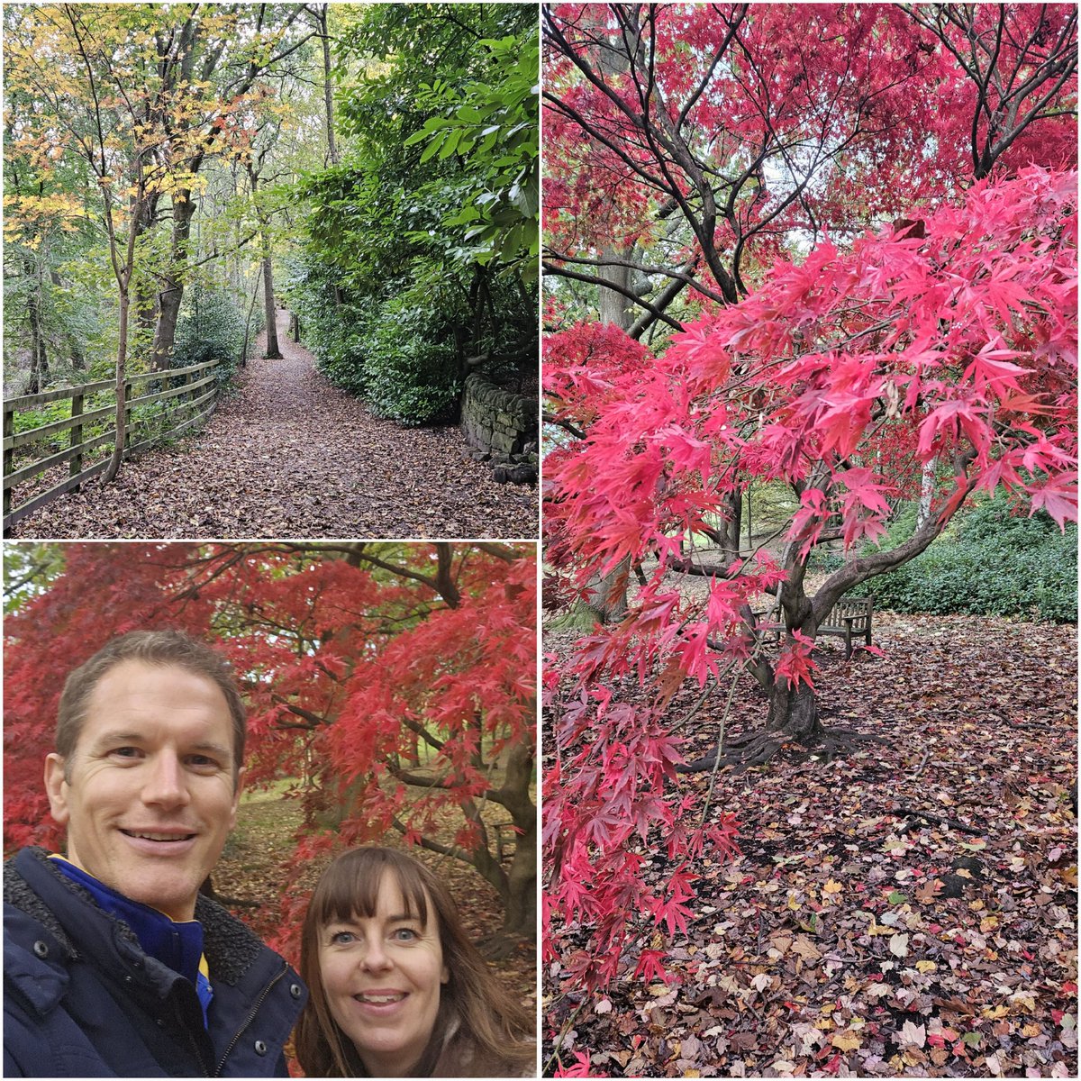 CRS Editorial (Craig Smith) tweet media