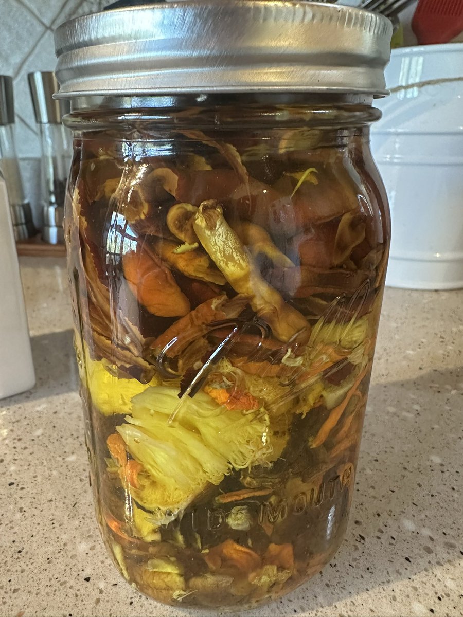 I got my mushroom tincture going. She’s beautiful 🍄 Reishi, Lions Mane, Shiitake, Turkey Tail and Cordyceps. 30 day alcohol extraction and then a few hour water extraction and she will be done.