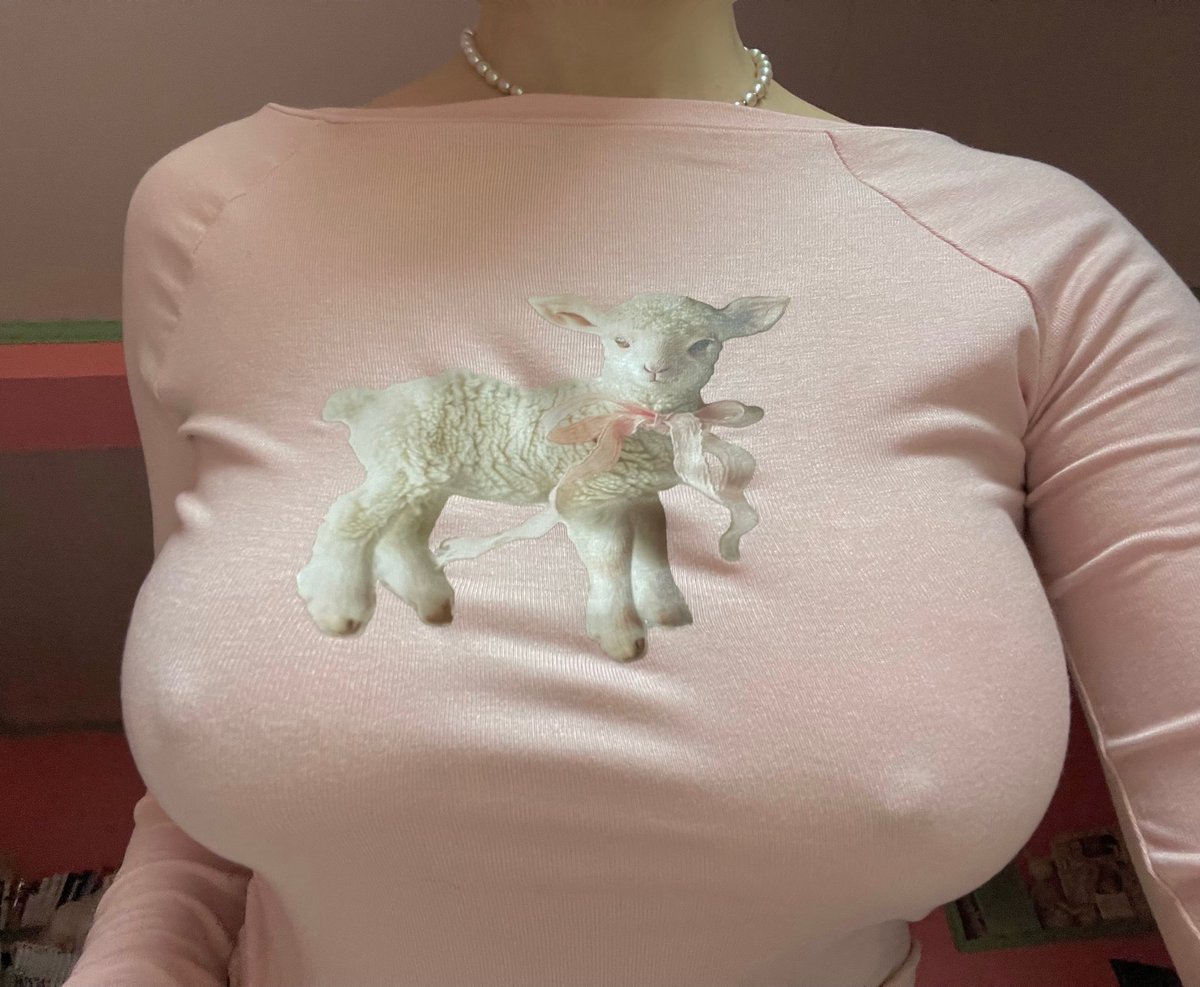 Laurdouceur's tweet photo. Lamb https://t.co/RSAYZl0bDw
