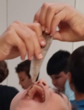 escolaelshorts's tweet photo. Quin matí més dolç! Aprenem i experimentem amb xocolata.
#museudelaxocolata
#descoberta
#experimentacio
#4tprimaria https://t.co/MO8ppbZD74