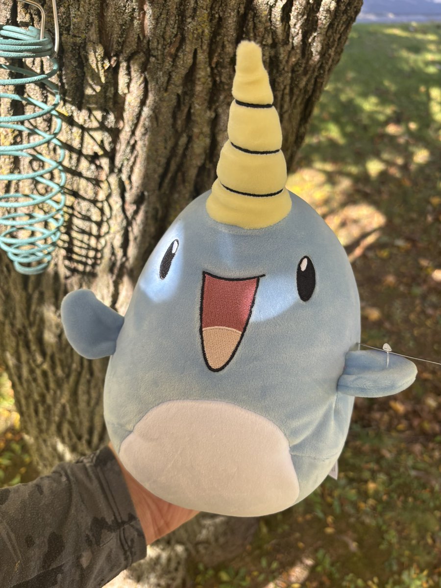 SoulMaier's tweet photo. My Narwade plushy and cards came thank you @HoopsVGM love it 💙 https://t.co/mo5TdeFAZp