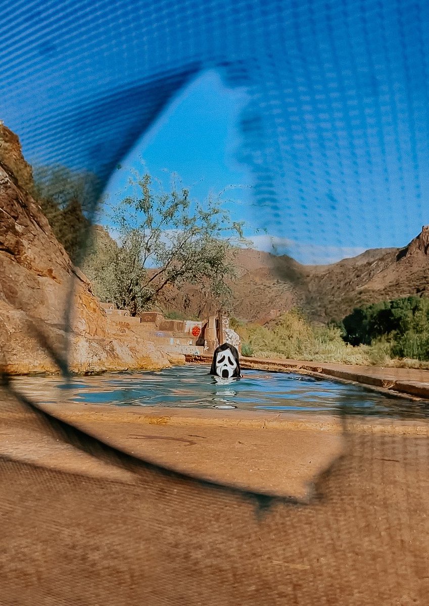 ⇢ 𝒿𝑒𝓃𝓃𝒶 🌻 tweet media