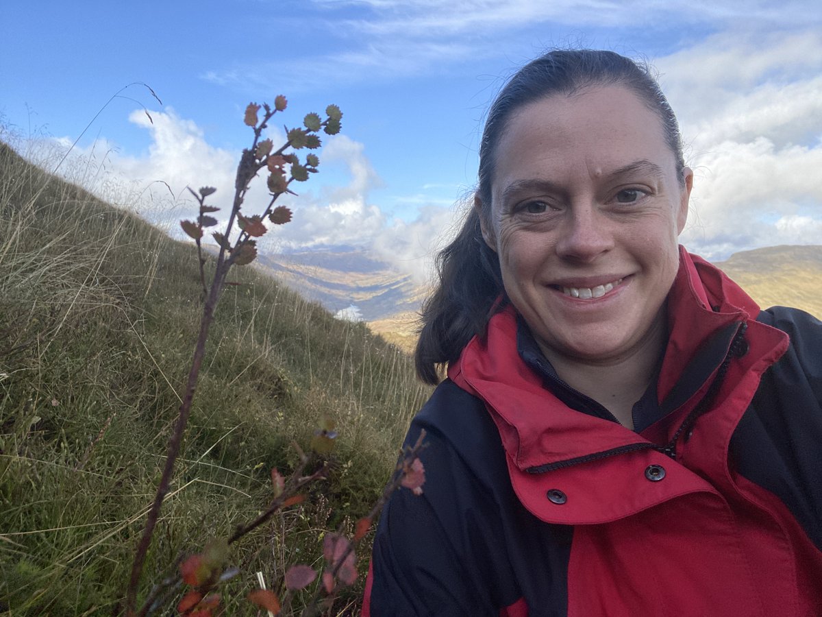 Sarah Watts (@watts_sh) on Twitter photo Glen Finglas @WoodlandTrust was the next stop on my final #PhD #fieldwork campaign <a href="/StirlingScience/">Stirling Natural Sciences</a> measuring our Dwarf #Birch (Betula nana) planting trial sites. I've gathered some really cool data from here - looking forward to sharing the results in due course! @WTScotsocial Glen Finglas @WoodlandTrust was the next stop on my final #PhD #fieldwork campaign <a href="/StirlingScience/">Stirling Natural Sciences</a> measuring our Dwarf #Birch (Betula nana) planting trial sites. I've gathered some really cool data from here - looking forward to sharing the results in due course! @WTScotsocial