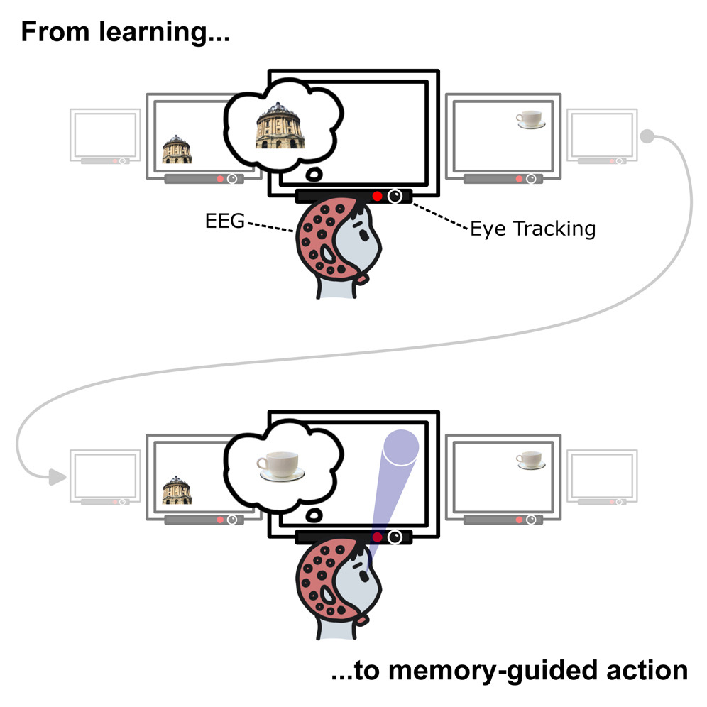 Bernhard Staresina (@bstaresina) on Twitter photo From learning to memory-guided action - new work led by the truly outstanding <a href="/BuchelPhilipp/">Philipp Büchel</a>
authors.elsevier.com/sd/article/S09… From learning to memory-guided action - new work led by the truly outstanding <a href="/BuchelPhilipp/">Philipp Büchel</a>
authors.elsevier.com/sd/article/S09…