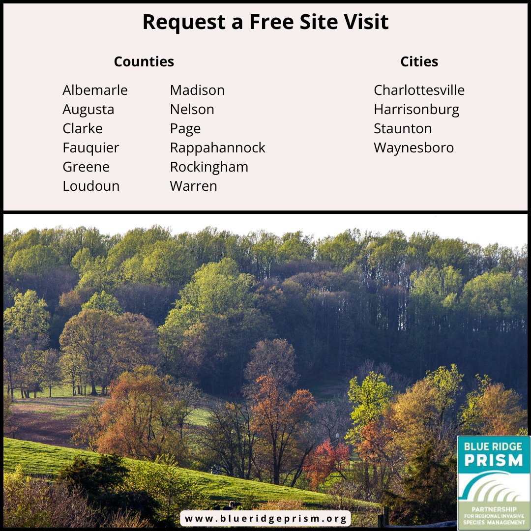 Blue Ridge PRISM tweet media