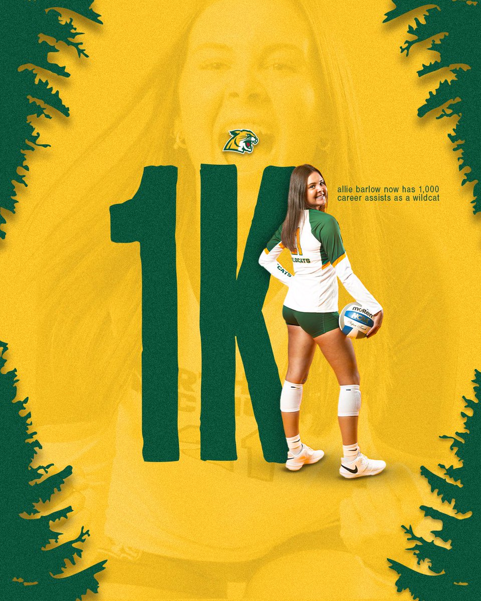 NMU_Volleyball's tweet photo. MILESTONE MOMENT 🏆

Huge congratulations to #21 Allie Barlow on hitting 1️⃣0️⃣0️⃣0️⃣ career assists this past weekend at the Midwest Crossover! We are so proud of you and all that you have accomplished!!! 😸

#nmuvb #PointCats https://t.co/IlFQyPF2an