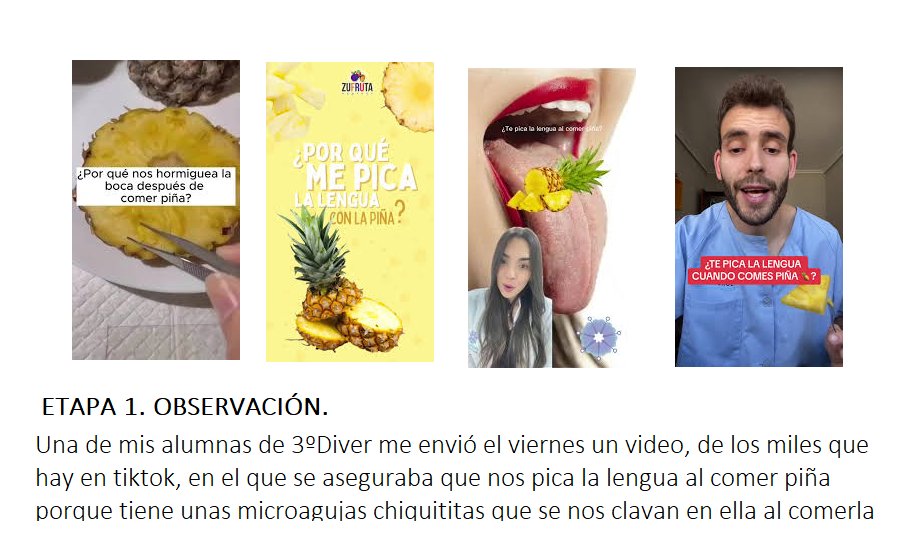 biologiayartes tweet media