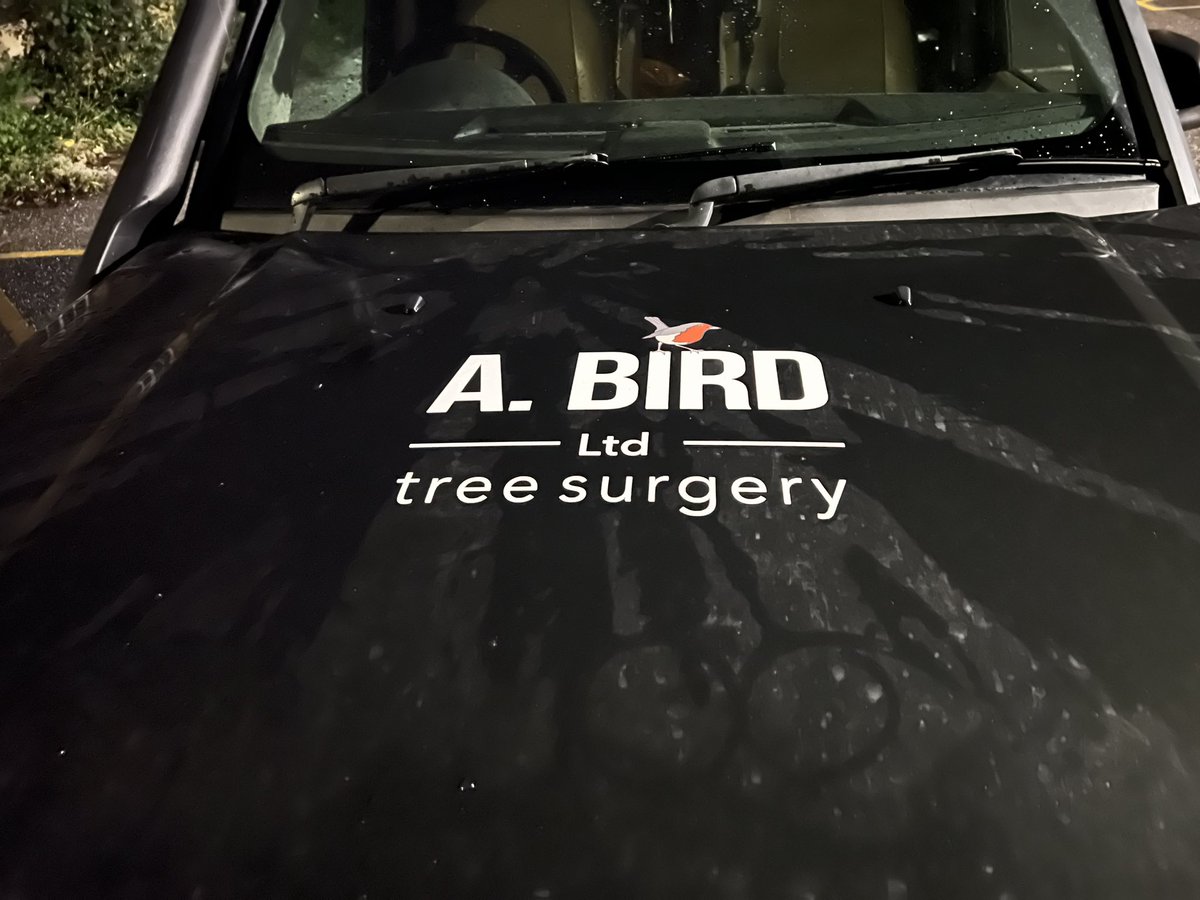 Presumably it’s a woodpecker