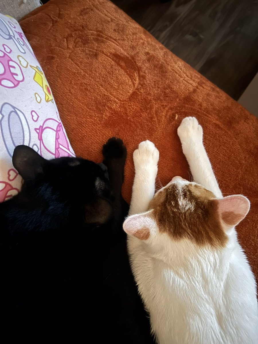 katie🫧 tweet media