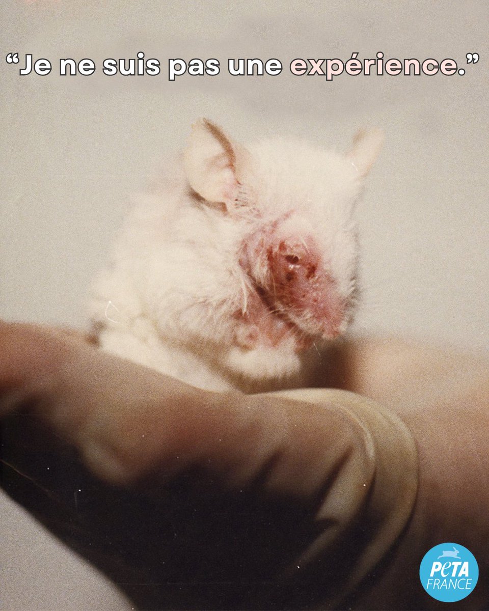 Repartagez si vous êtes d'accord avec elle. 💔🐭
#EndAnimalTesting