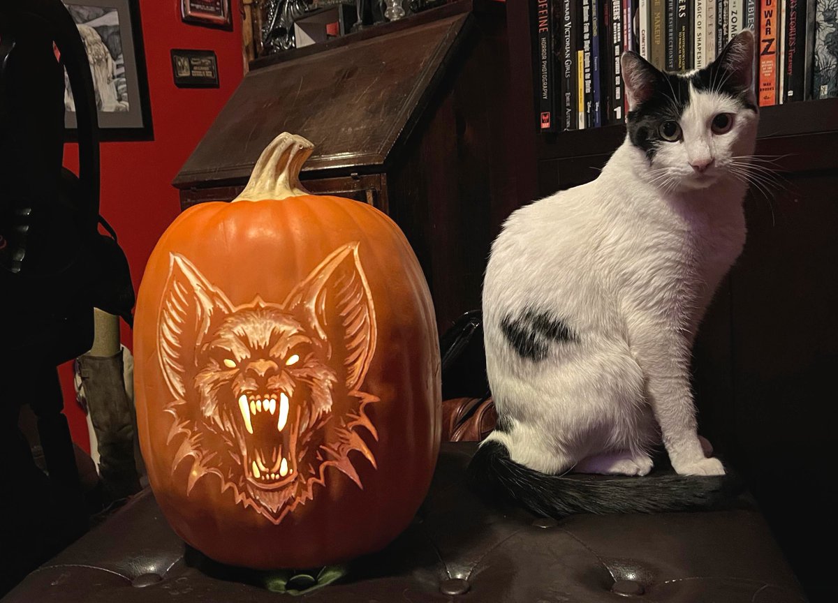HauntedCarving's tweet photo. IT'S FRICKIN' BATS! I loved the way this vampire bat design turned out - allowed me to play with texture for the fur. This one looks great daytime or night.

Pattern by @stoneykins  - carved by me https://t.co/a7otJzTdKf

#jackolanterns #PumpkinCarving #pumpkin #halloween #bats https://t.co/pre6upv2zq