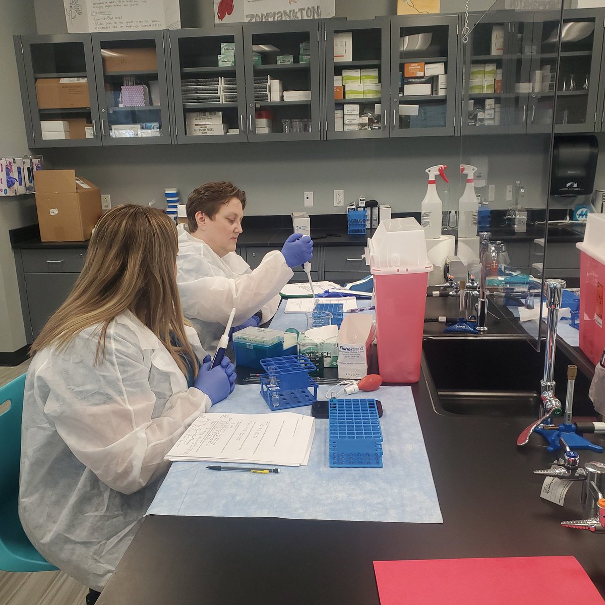 DrLedfordWaters's tweet photo. Working hard on serial dilutions in the MLT lab at SKYCTC #IAMASCLS #lab4life #labheros https://t.co/cWJeWXfLL6
