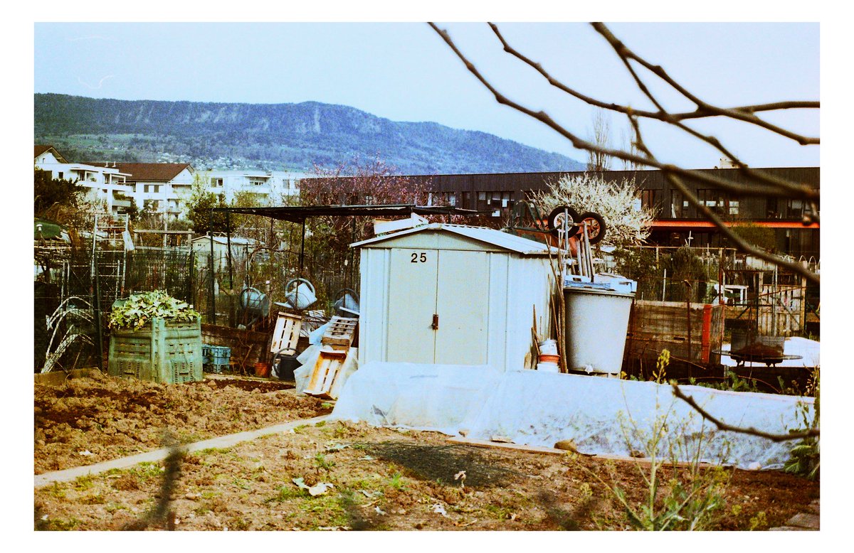 Weeknder tweet media