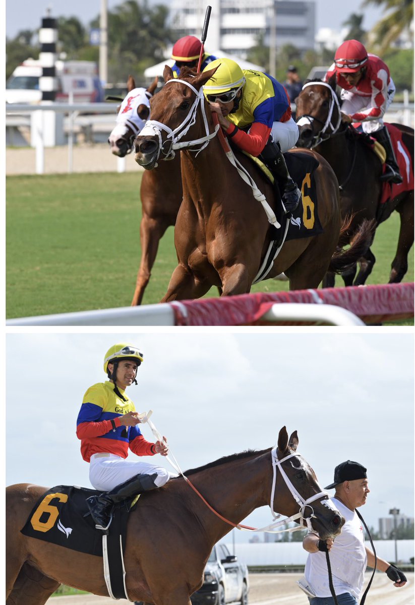 Victor Barboza Jr (@victorebarboza) on Twitter photo “ MAJESTIC VENEZUELA / GREAT VENEZUELA “ las consentidas de <a href="/harasorlyana/">Haras La Orlyana</a> derrochando calidad en cada presentación !! En conjunto campaña de 16 act para 8-6-2🔥🔥🔥 “ MAJESTIC VENEZUELA / GREAT VENEZUELA “ las consentidas de <a href="/harasorlyana/">Haras La Orlyana</a> derrochando calidad en cada presentación !! En conjunto campaña de 16 act para 8-6-2🔥🔥🔥