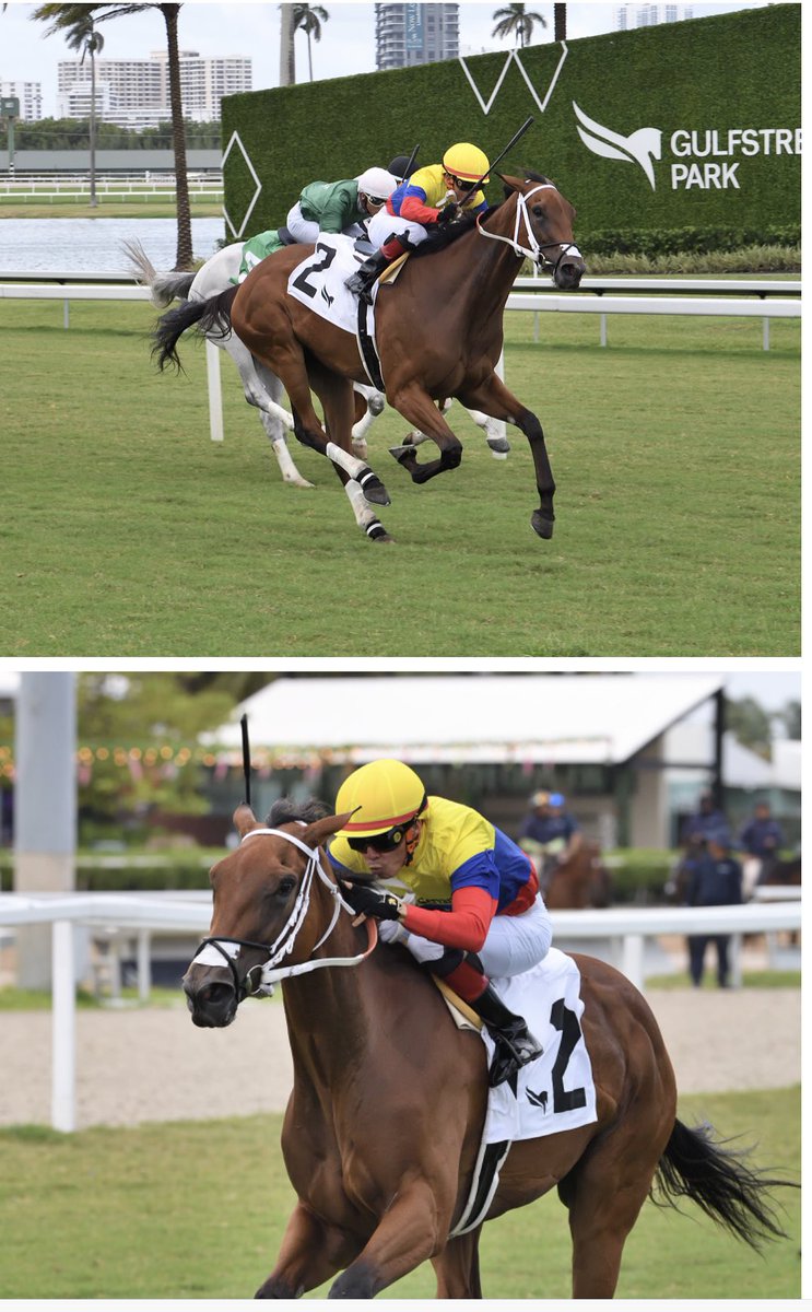 VictorEBarboza's tweet photo. “ MAJESTIC VENEZUELA / GREAT VENEZUELA “ las consentidas de @harasorlyana derrochando calidad en cada presentación !! En conjunto campaña de 16 act para 8-6-2🔥🔥🔥 https://t.co/TglF1025sN