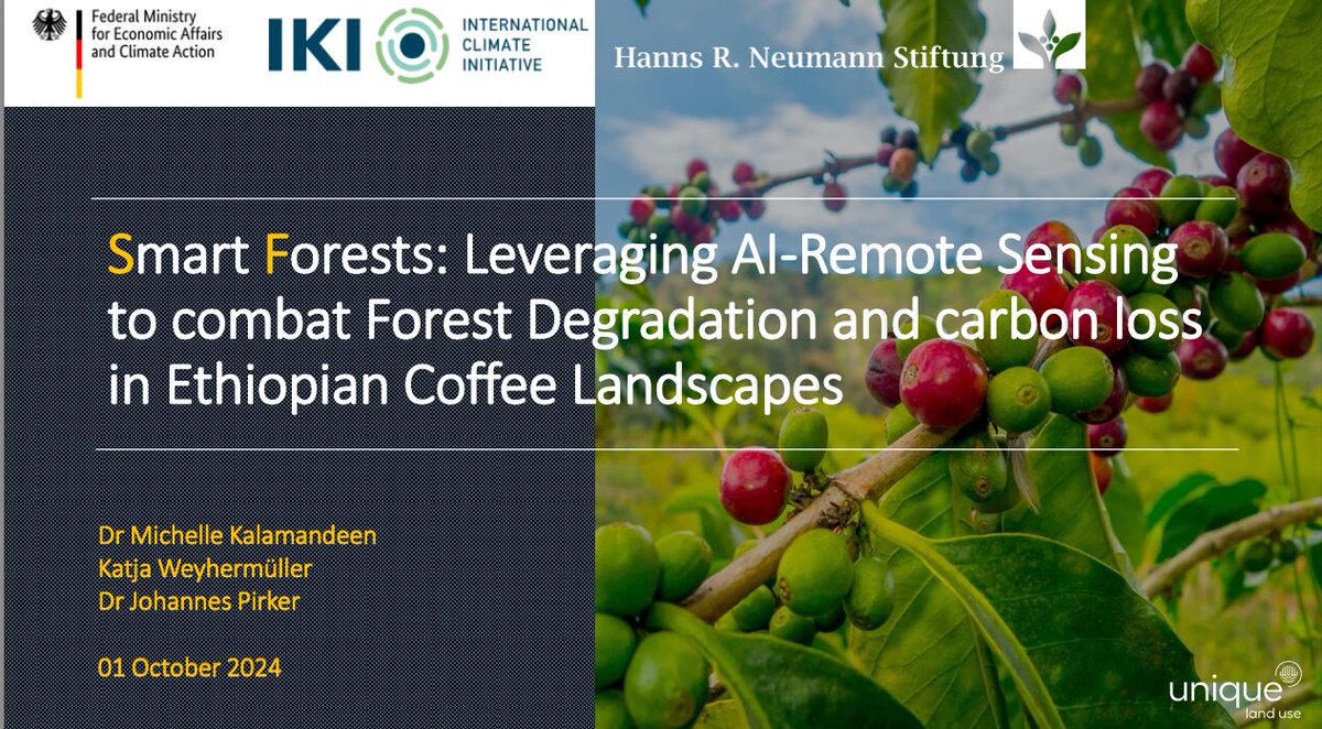 Dr Michelle Kalamandeen tweet media