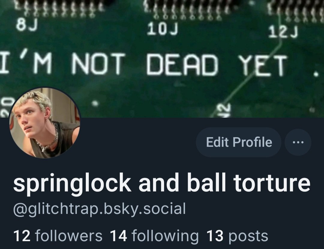 g0ldenhare's tweet photo. I'm gonna be locking down soon since I've moved over to bluer skies! If you wanna keep up with my nonsense, come follow me! (PS; invite codes are no longer required and haven't been for a few months now) https://t.co/5qkVZQi9ZT