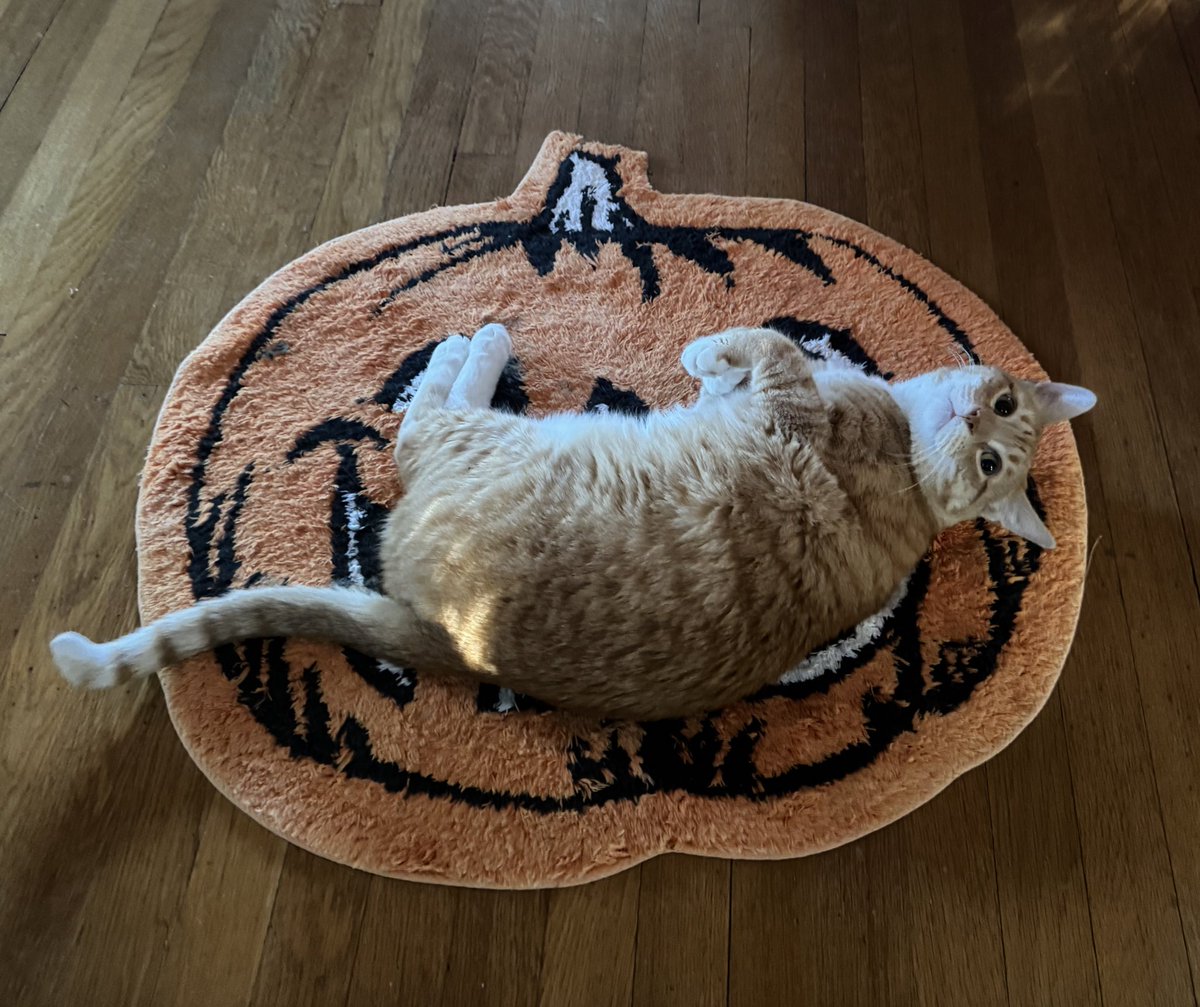 JortsTheCat's tweet photo. Still plenty of time to get spooky out there folks https://t.co/ZD2swH91BS