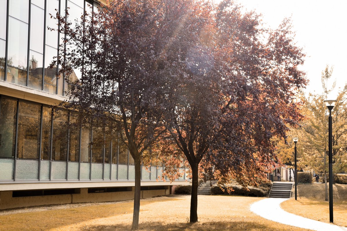 LibrarySzeged's tweet photo. 🔸🔐 On 23 October our library will be closed for the National Day. 
🔸💃  On Saturday 26 October we will close at 6pm for an event in the  building. Preparations are expected to start earlier and may cause  occasional noise.
Thank you for your patience! 🧡 https://t.co/H2ooYWxFDJ