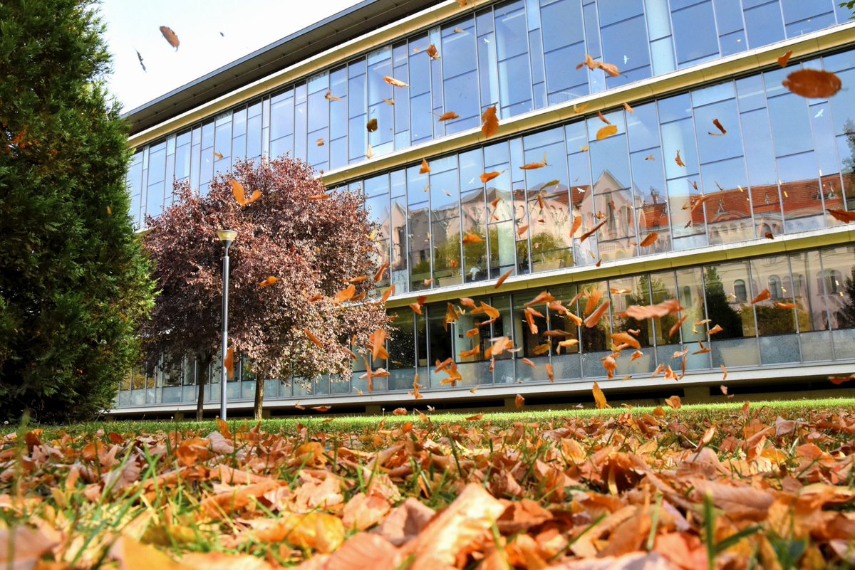 LibrarySzeged's tweet photo. 🔸🔐 On 23 October our library will be closed for the National Day. 
🔸💃  On Saturday 26 October we will close at 6pm for an event in the  building. Preparations are expected to start earlier and may cause  occasional noise.
Thank you for your patience! 🧡 https://t.co/H2ooYWxFDJ