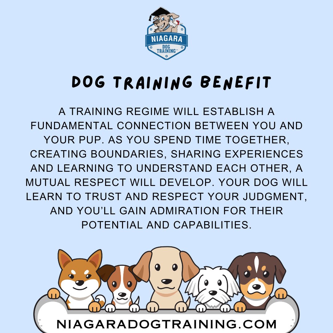 🎓🏆 Invest in your dog’s training for lifelong rewards! 🐕🌈 Gain obedience, social skills, and more. Enroll at Niagara Dog Training for a path to greatness and a stronger bond. Start today! 🐾💖 #LifetimeRewards #TrainingBenefits #NiagaraDogTraining