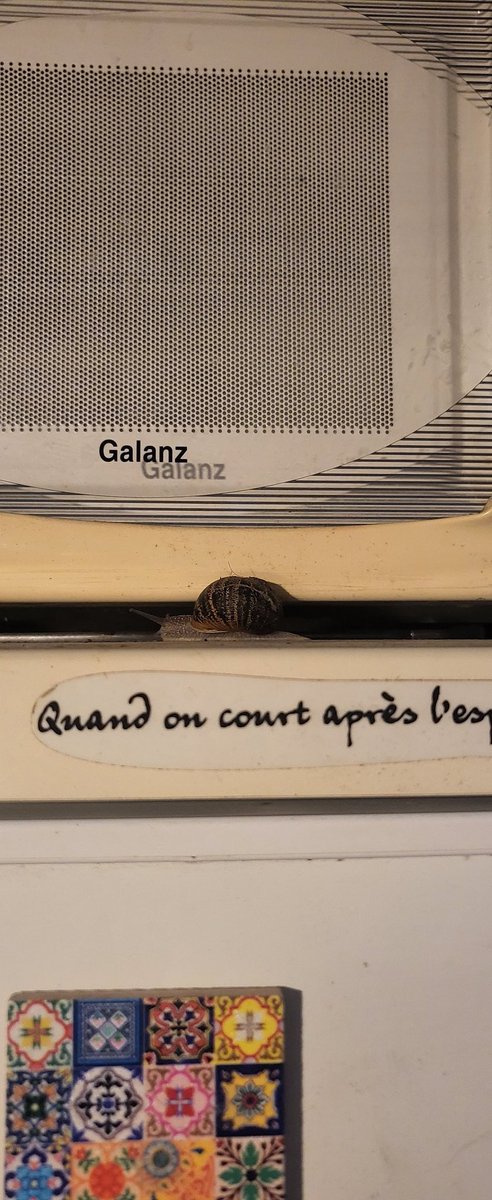 corbin anne tweet media