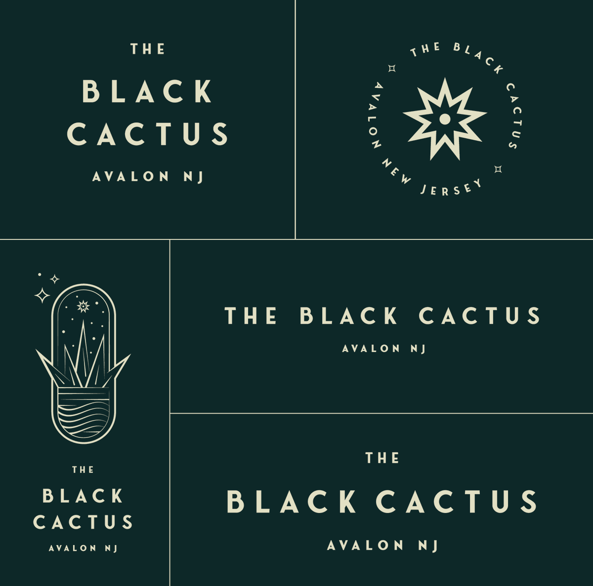 Some secondary and tertiary logos from the Black Cactus brand identity we've been cooking up at SEDSO...