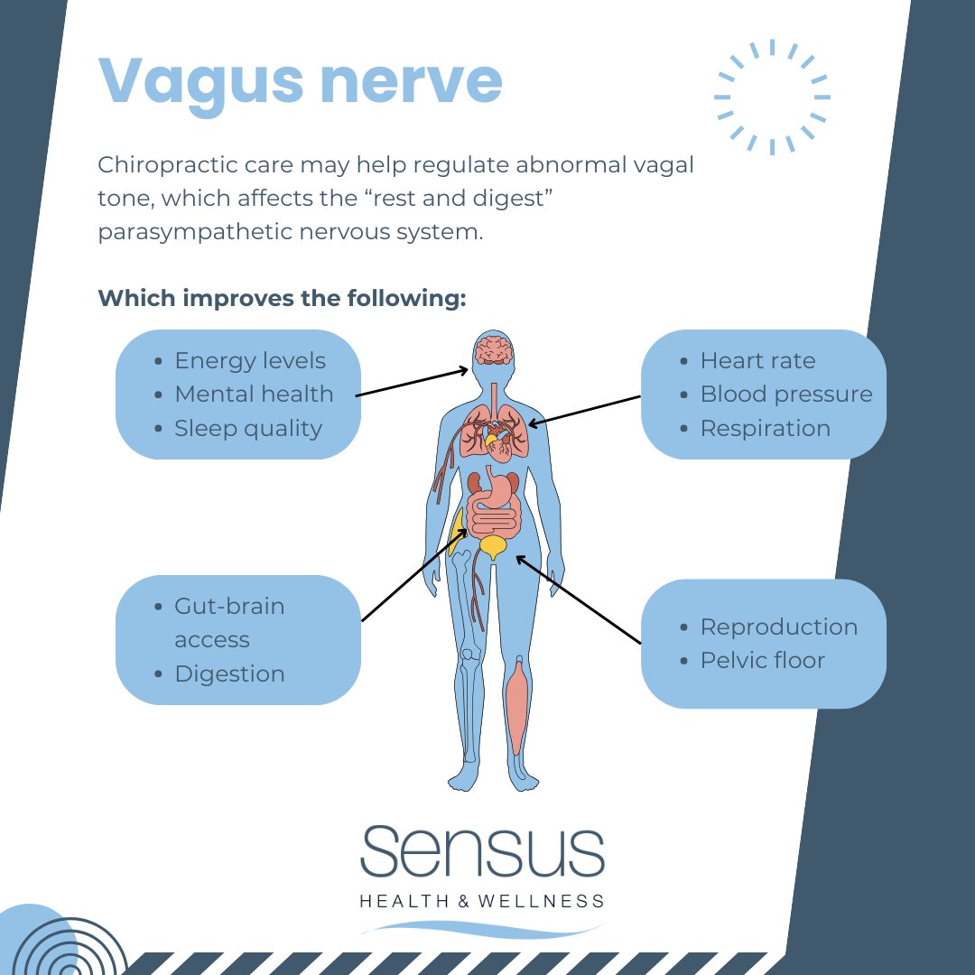 SensusHealthSW6's tweet photo. The vagus nerve plays a critical role in controlling the parasympathetic nervous system, which governs our body’s “rest and digest” functions. When the vagal tone is off balance, it can have a significant impact on your overall health and wellbeing. https://t.co/XJpn62ulFV