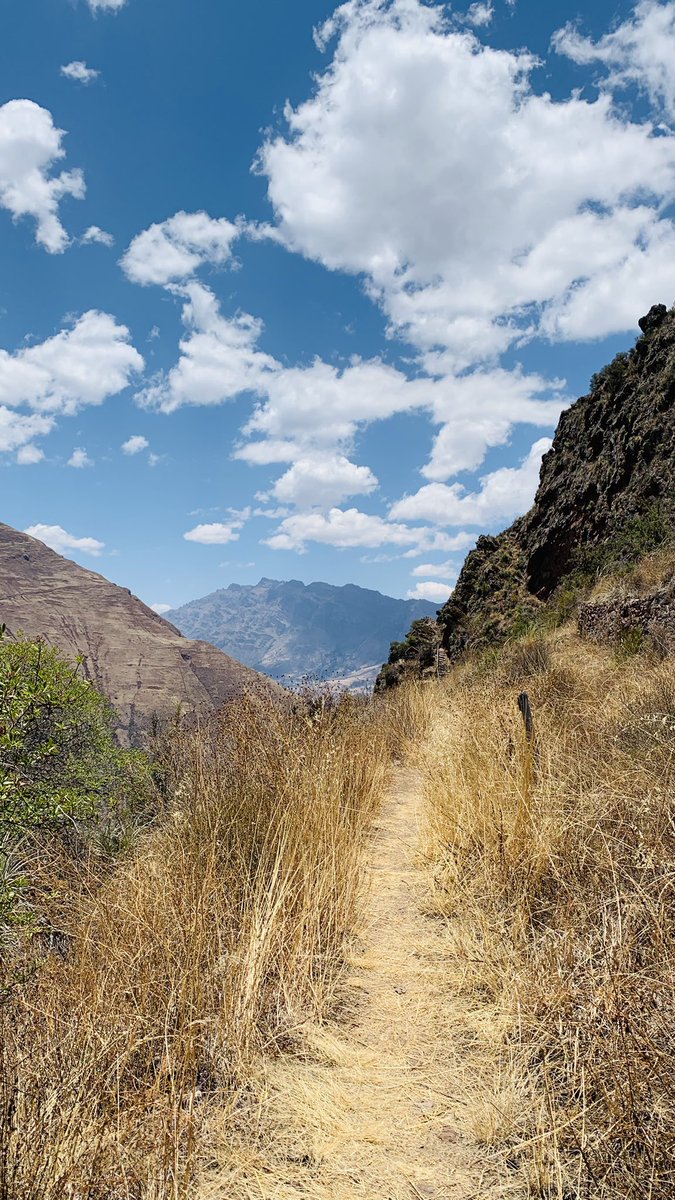 sambosambito's tweet image. Saludos #PoderosoGoteo