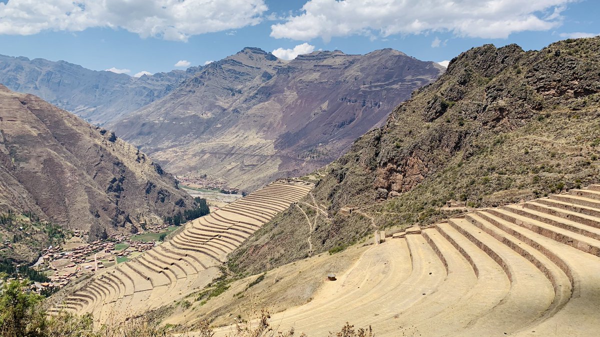 sambosambito's tweet image. Saludos #PoderosoGoteo