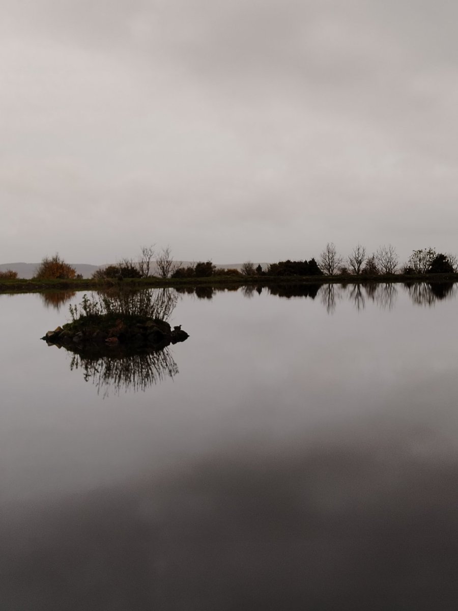 AilinKee's tweet image. Tranquility of a milk pond, whilst out doing my @WeBS_UK for @eastglambto #natureconnection #getoutside #birdsmatter