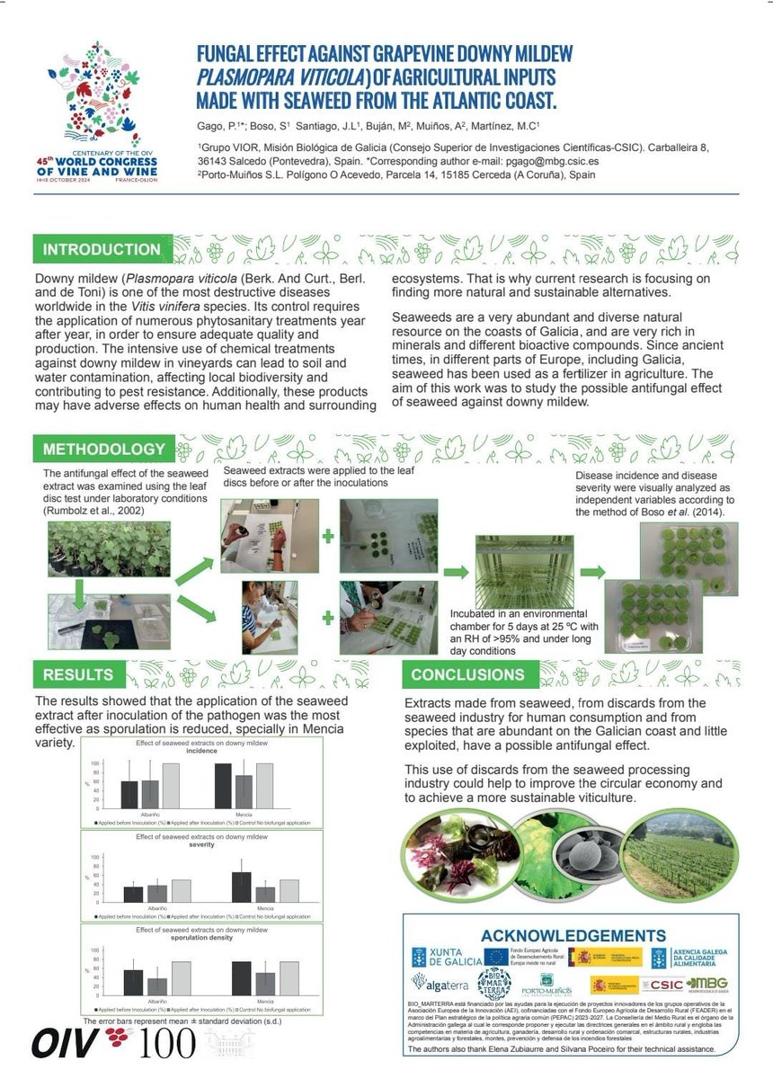 santicsic's tweet photo. La evaluación del efecto antifúngico de extractos de algas #PORTOMUIÑOS contra el mildiu de la vid🍇🍇 (Plasmopara viticola) acaba de ser presentada por #VIOR @mbg_csic en #Dijon 45º Congreso @OIV_int 100 años #OIV Proyecto Grupo Operativo @GOBIO_MARTERRA @FEUGA_20 #AGACAL @Xunta https://t.co/XEU1waYlYr