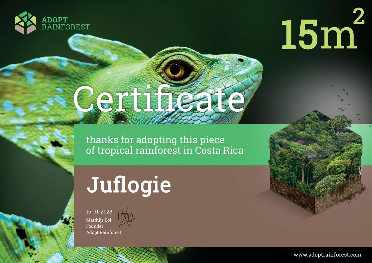 Juflogie_Nature's tweet photo. Work With Nature Protect Tropical rainforest in Costa Rica.  🌴🌴🌴
#Juflogie  , #wwn  , #nature https://t.co/TCxDQCYGxy