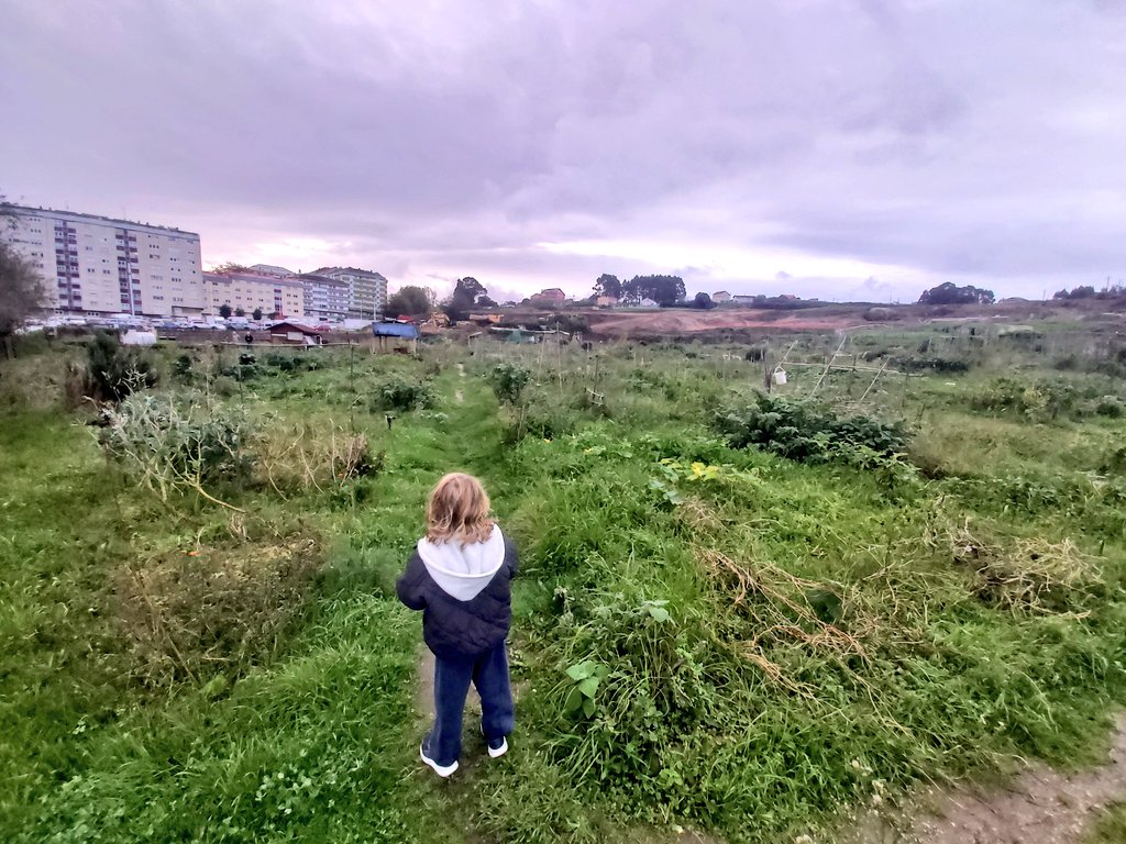 stdisciplina's tweet photo. El destrozo en tiempo récord llevado a cabo por la maquinaria al servicio de la especulación inmobiliaria sobre un espacio singular de origen agrario, algún día será juzgado como se merece #regionesdevastadas #hortasdoAgra https://t.co/BJ8TRrS9DY