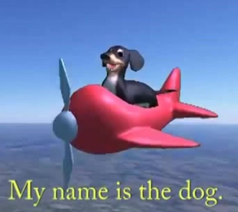 My name is dog