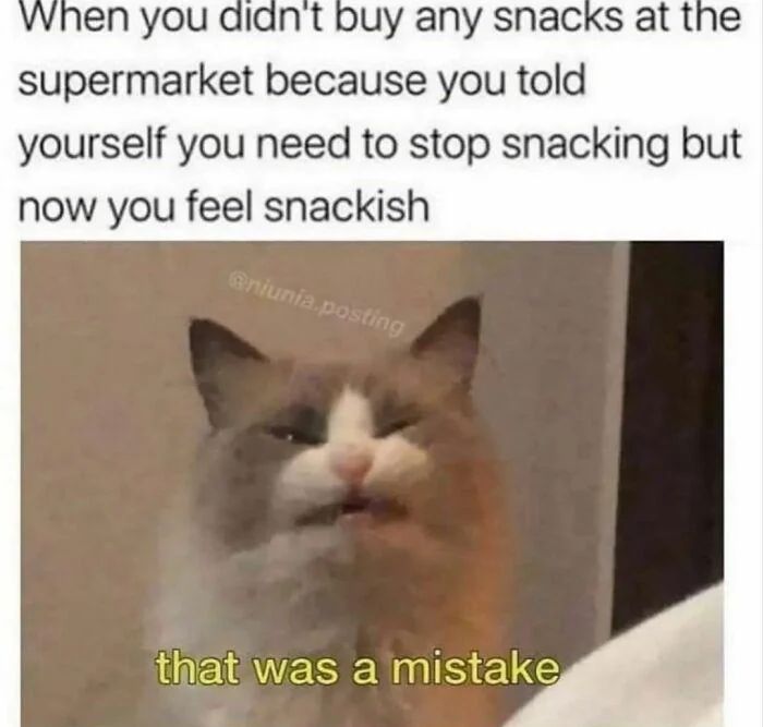 WholesomeMemes (@wholesomememe) on Twitter photo 