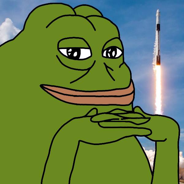 Groyper tweet media