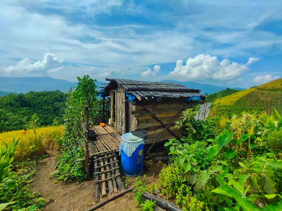 mizoraminsta's tweet photo. A nostalgic snapshot of Thlam, a cultivation hut in Mizoram's rice fields, where tradition meets tranquility
Pic credit π· Mapuia Pachuau
#thlam #ricefield #thlawhhma #buhhmun #farmerlife #agriculture #mizolo #zolo #jhumming #jhum #shiftingcultivation #cultivationsite #mizoram https://t.co/Q9UHZjDZXU