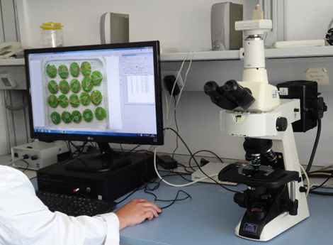 santicsic's tweet photo. La evaluación del efecto antifúngico de extractos de algas #PORTOMUIÑOS contra el mildiu de la vid🍇🍇 (Plasmopara viticola) acaba de ser presentada por #VIOR @mbg_csic en #Dijon 45º Congreso @OIV_int 100 años #OIV Proyecto Grupo Operativo @GOBIO_MARTERRA @FEUGA_20 #AGACAL @Xunta https://t.co/XEU1waYlYr