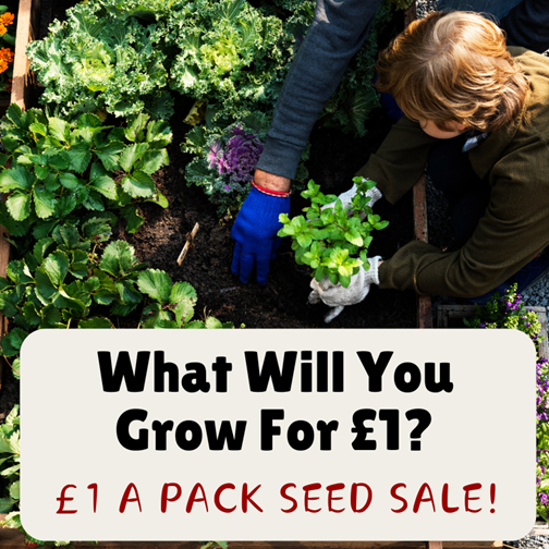 Grow your garden for less 🌱
We’re excited to bring back our £1 Seed Sale, where you can stock up on your favourite seeds at up to 76% off.
 
Whether you want vibrant flowers, delicious veggies or fresh herbs, now’s the perfect time to stock up &amp; save! 🏷️
mr-fothergills.co.uk/pages/special-…