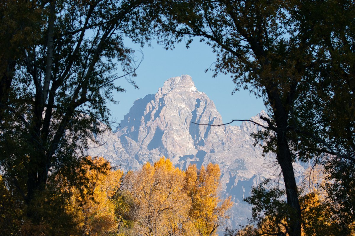 “How glorious a greeting the sun gives the mountains!” — John Muir

Photo: Grand Teton at the National Elk Refuge in Wyoming by Gannon Castle / <a href="/USFWS/">U.S. Fish and Wildlife Service</a>