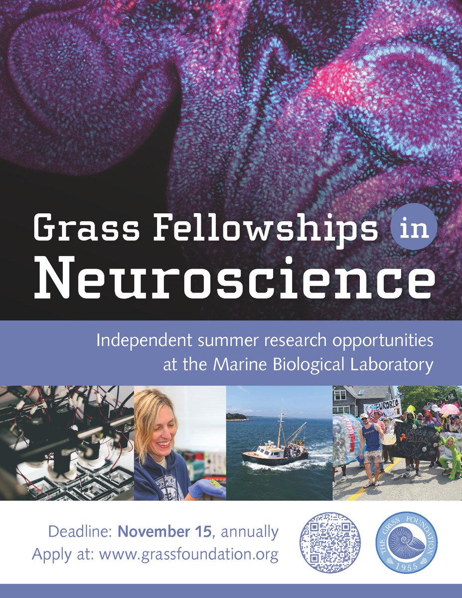 2025 Grass Fellowships at the Marine Biological Laboratory - Apply Now! Deadline: November 15, 2024. 
grassfoundation.org/application-po…